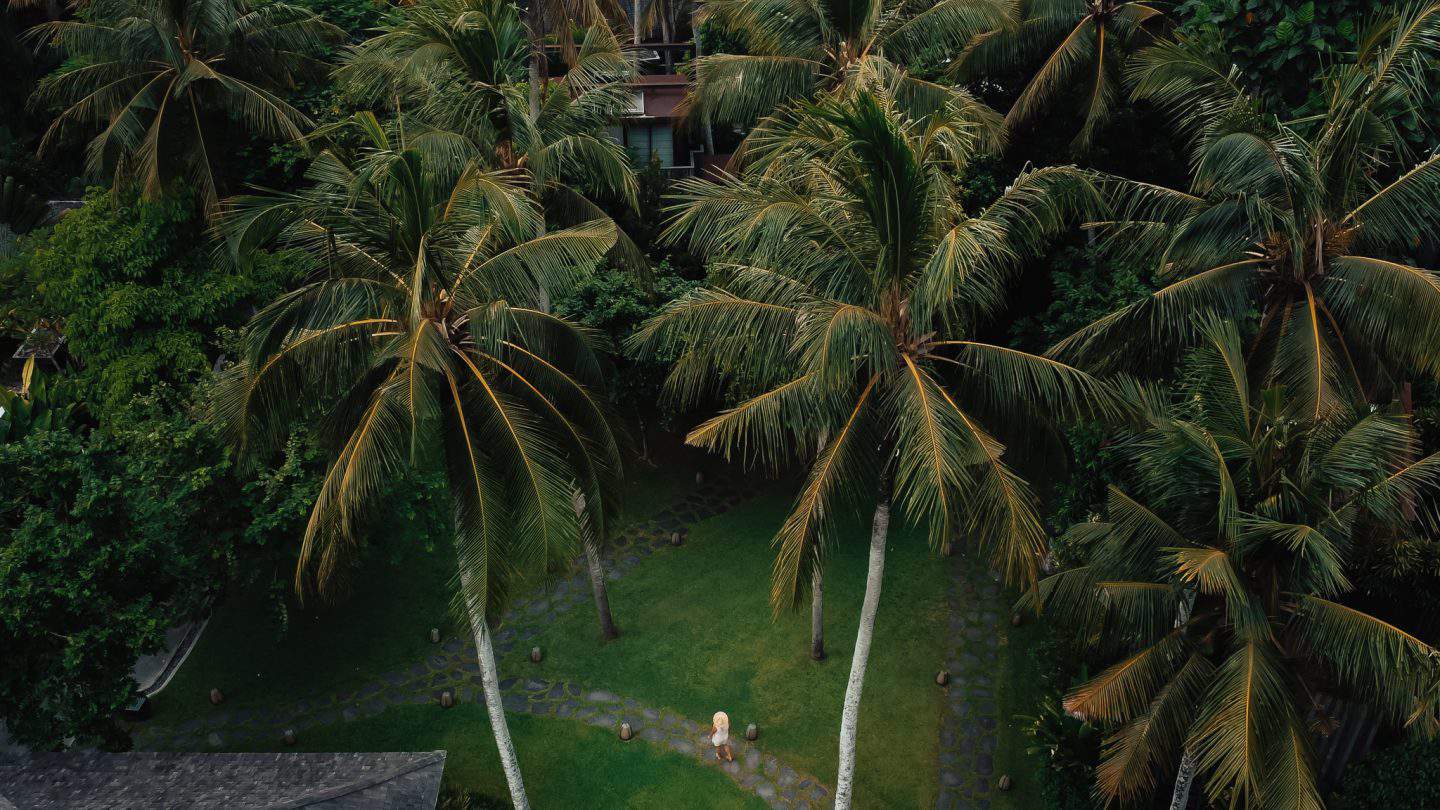 best tours in Bali